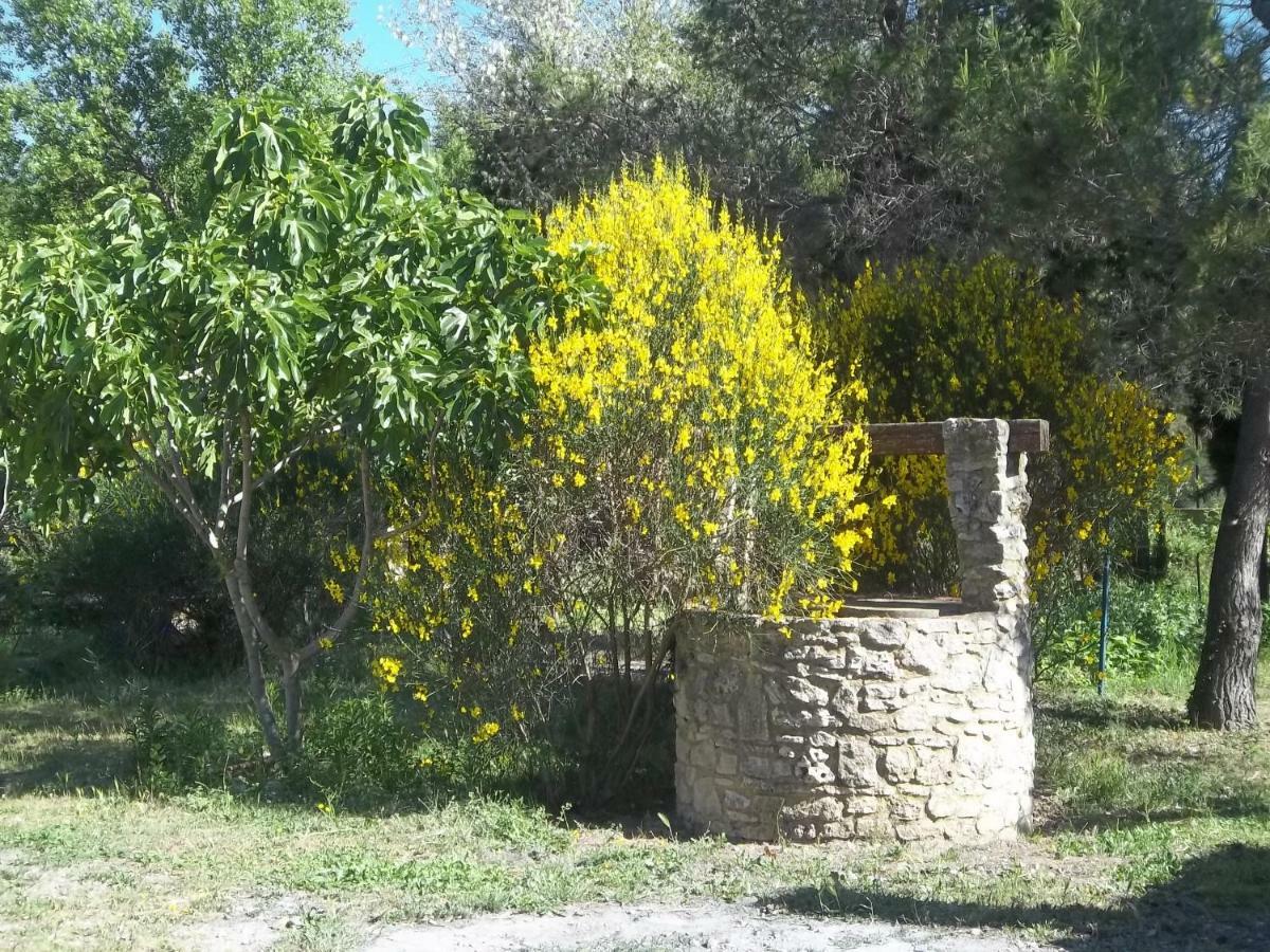 רושפור-דו-גאר B&B Le Petit Frigouye מראה חיצוני תמונה
